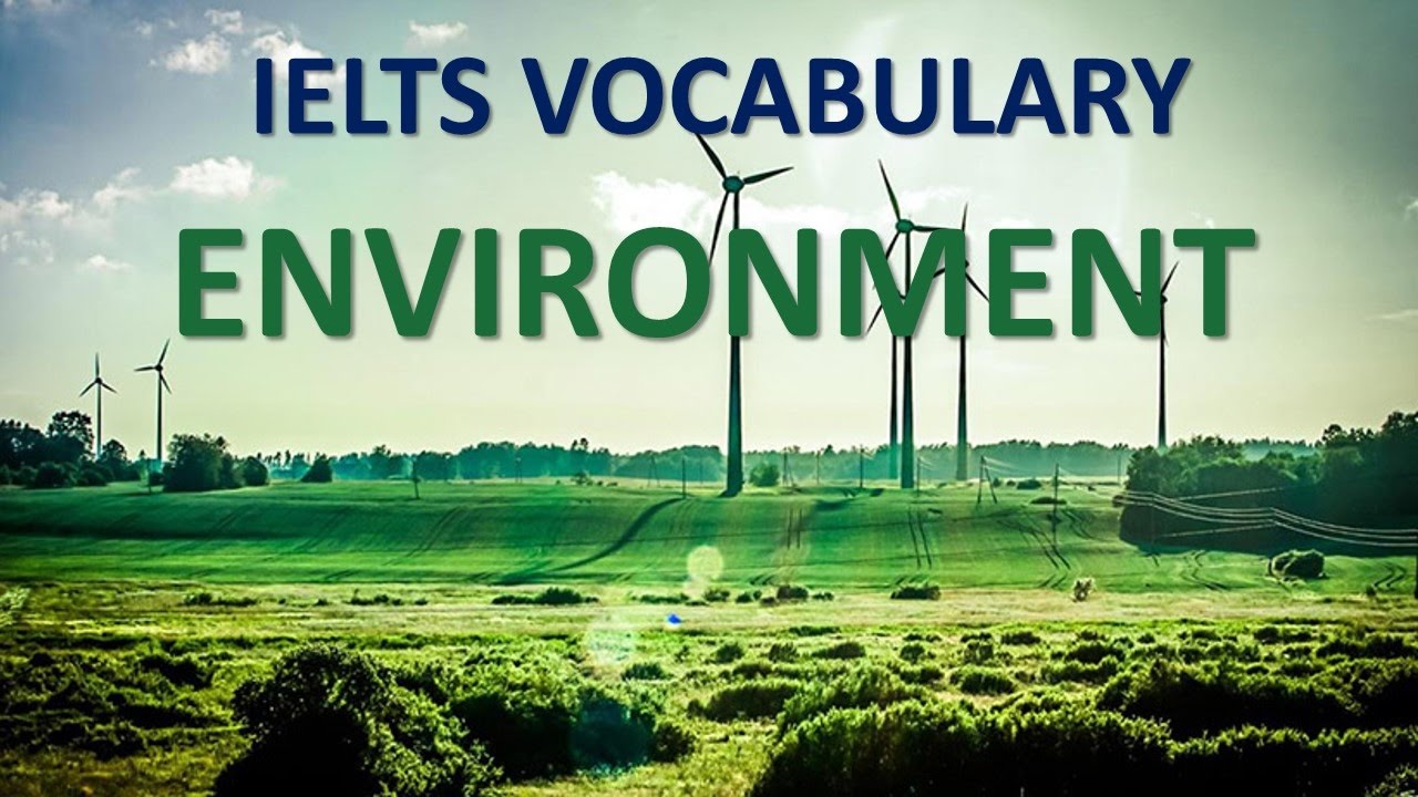 tu vung ielts